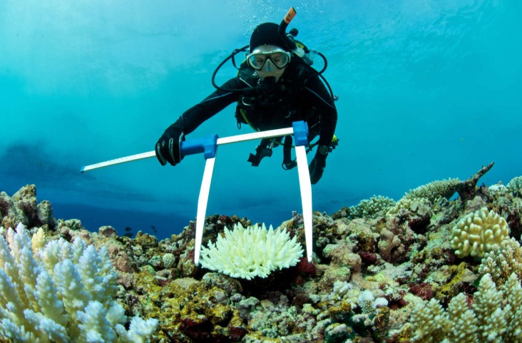 Stress On Our Marine System And Nature, And Building Continues Without Concrete Management And Planning 163 Estres Sobre Nuestro Sistema Marino Y La Naturaleza Y Se Sigue Construyendo Sin Un Manejo Y Plan Concreto 2