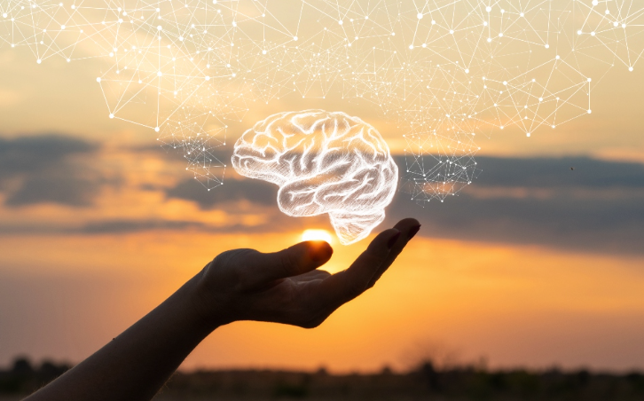 Programa Set Mind X Ta Trece Cambionan Radical Riba E Ciudadano 1