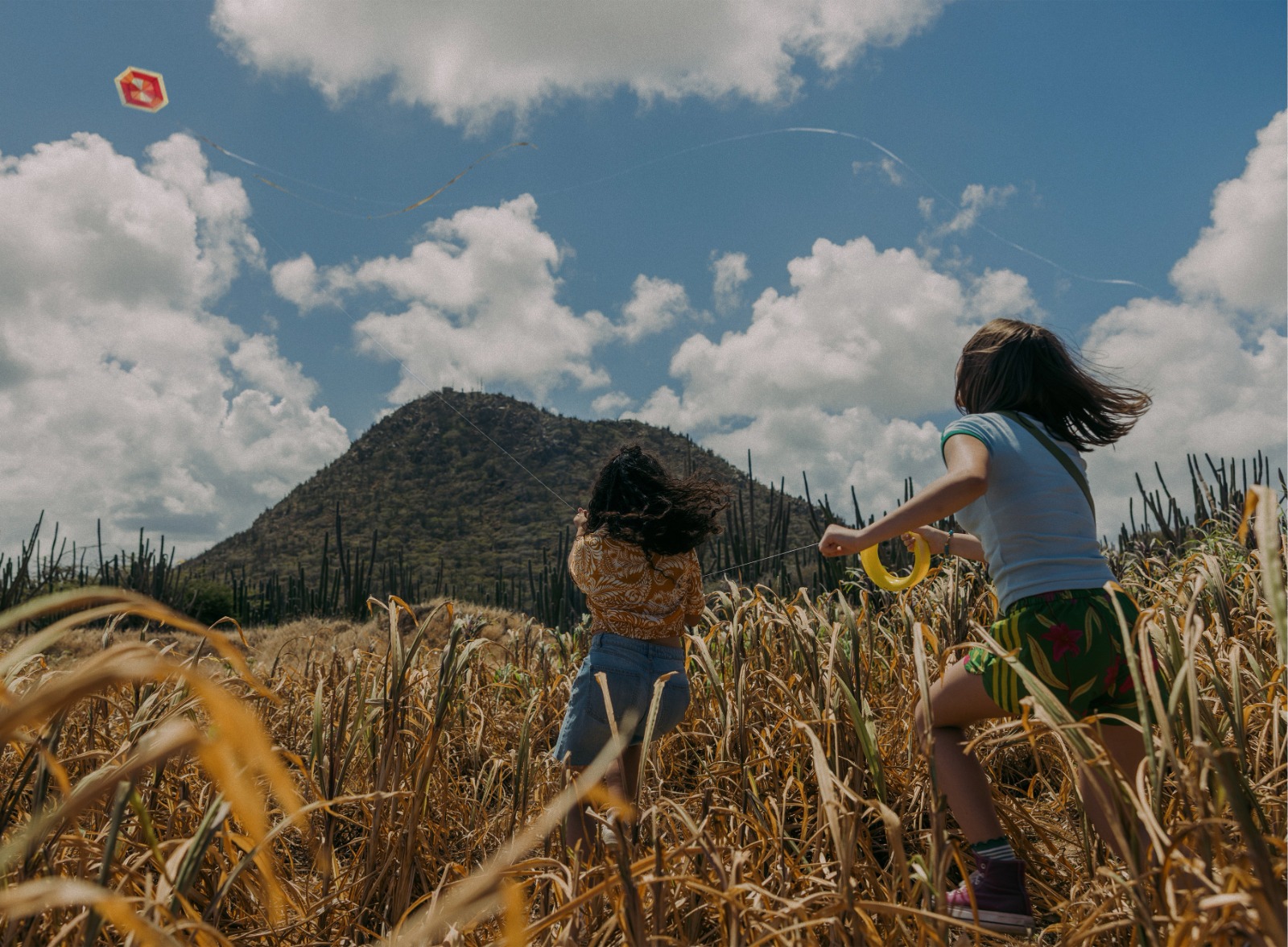 Aruba Tourism Authority Expands On Global Communication Launched In 2025: “When You Love Aruba, It Loves You Back” 161 Whatsapp Image 2026 07 01 At 4.33.24 Pm 1