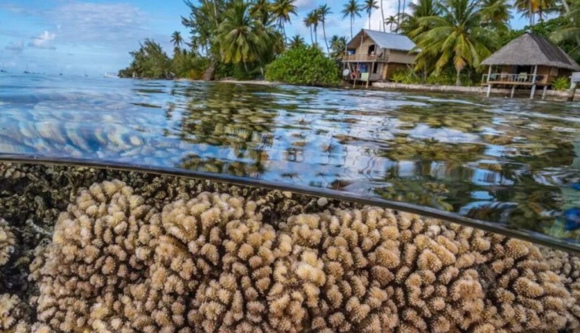 Stress On Our Marine System And Nature, And Building Continues Without Concrete Management And Planning 162 Whatsapp Image 2026 07 29 At 12.50.27 Pm 4