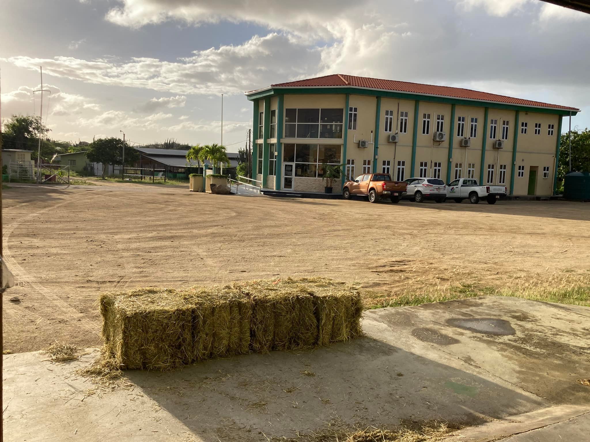 Public Tender Launched To Assist Santa Rosa, Farmers, And Livestock Breeders 160 A Inicia Destaho Publico Pa Yuda Santa Rosa Agricultornan Y Criadonan Di Bestia 3