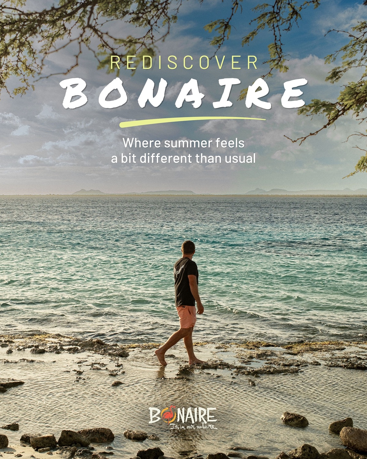 Doe Mee Aan De Bestemmingscampagne: Promoot Uw Bedrijf Via Bonaire'S Zomermarketingcampagne 160 Partisipa Na Kampana Di Destinashon Promove Bo Empresa Via Kampana Di Merkadeo Zomer Na Boneiru