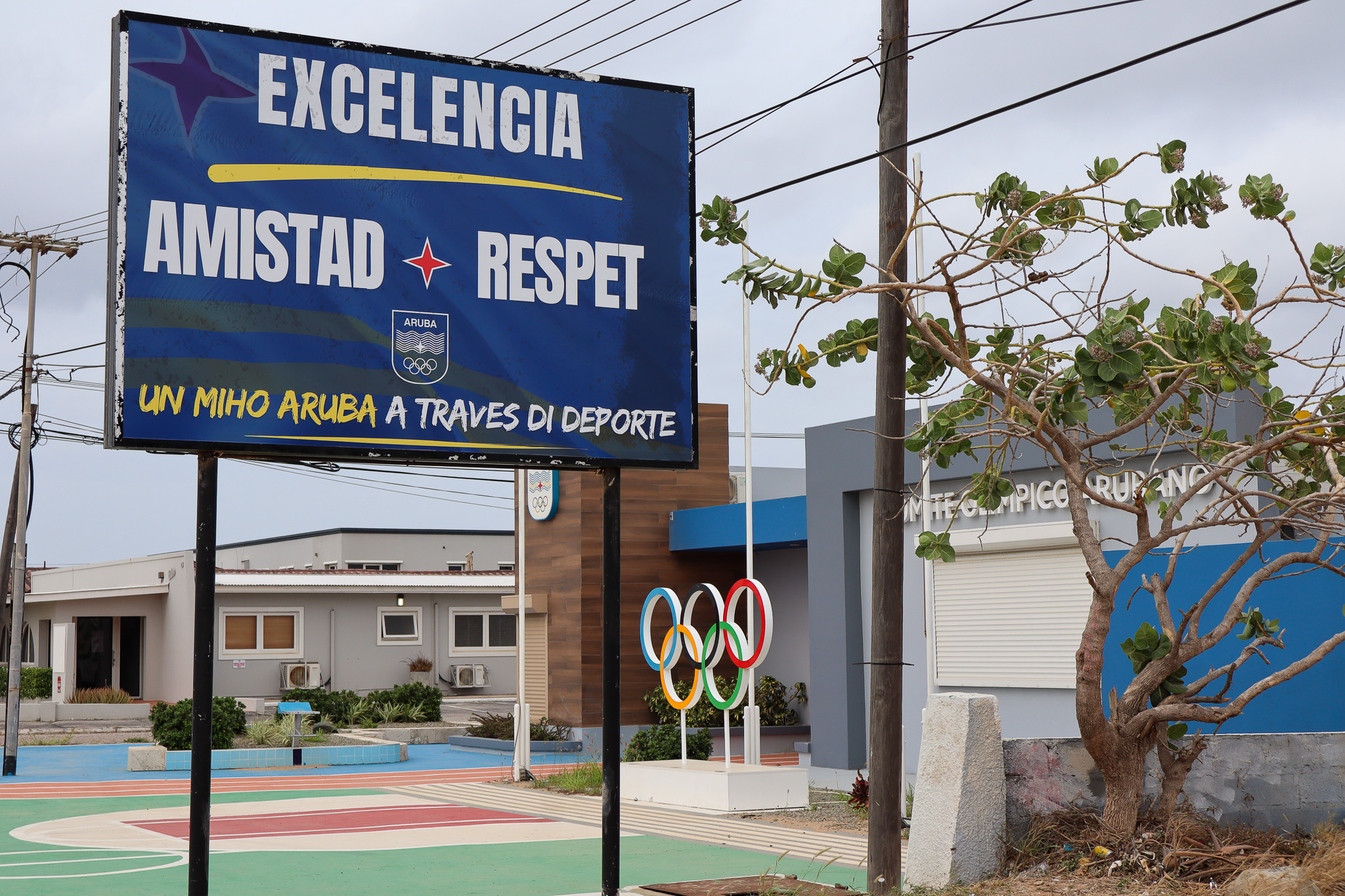 Teamaru Ta Cla Pa E Siguiente Weganan Di 2026 1