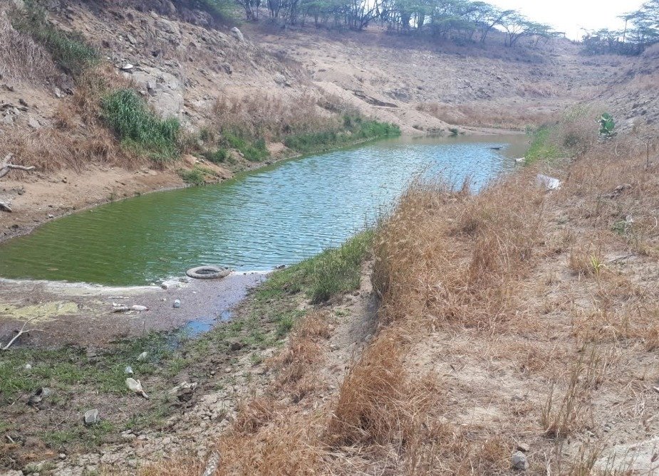 De Uitdaging Van Het Droogteseizoen: Dammen Op Aruba Zijn In Gevaar Door Droogte, Afval En Modder 162 Whatsapp Image 2026 08 20 At 2.28.31 Pm 1