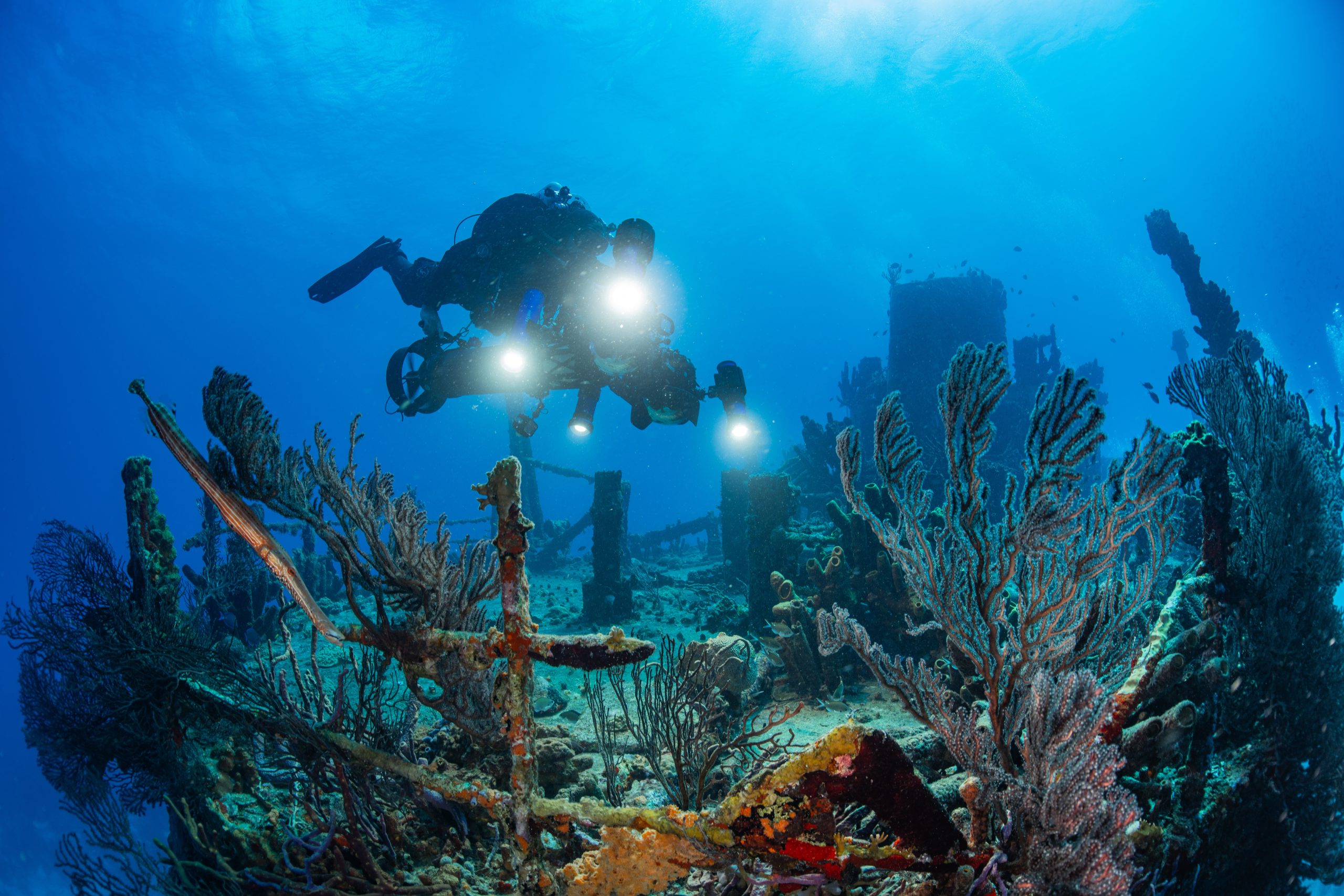 Inkfish Diver Taking Edna Samples Scaled