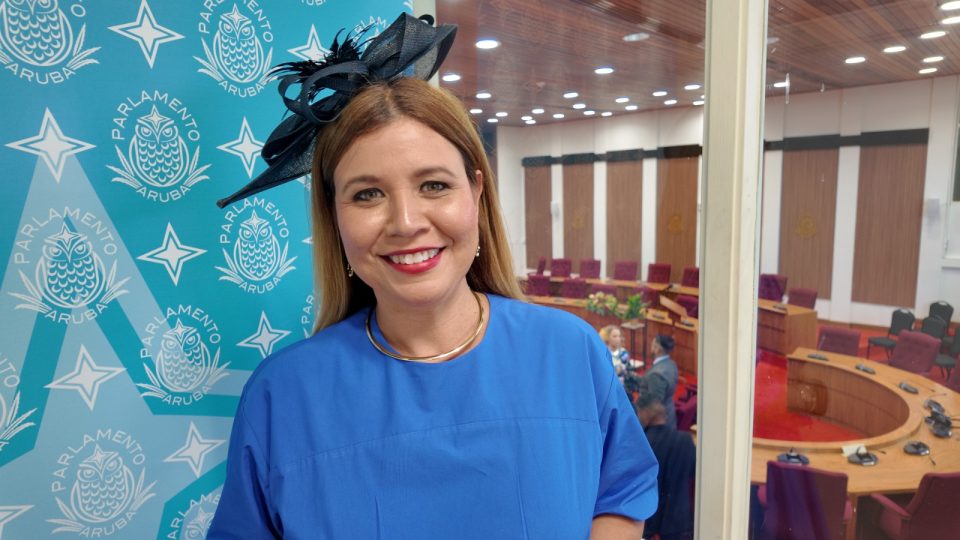 Lider De La Fraccion De Avp Jennifer Arends Reyes