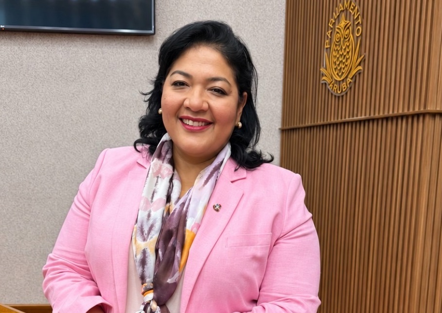 Parliamentarian Xiomara Maduro: with less control and less transparency, what will be left of the LNT?