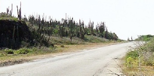 Foto Kaminda Di Rincon 1
